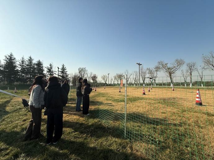 0edc3babd0b505fd9a33df5afcb00be