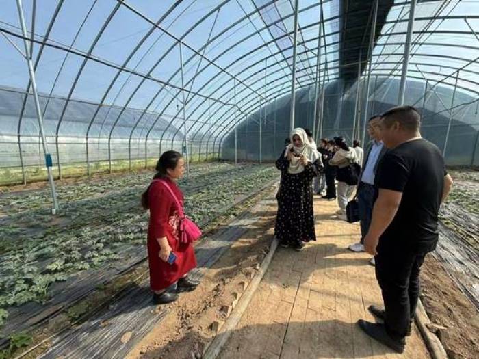 1be9cac6746d920de2ec91e1424bd0f2